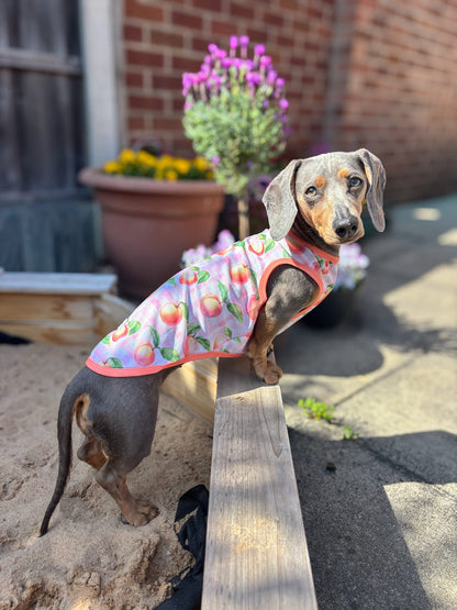 Peach Gingham Cooling Vest
