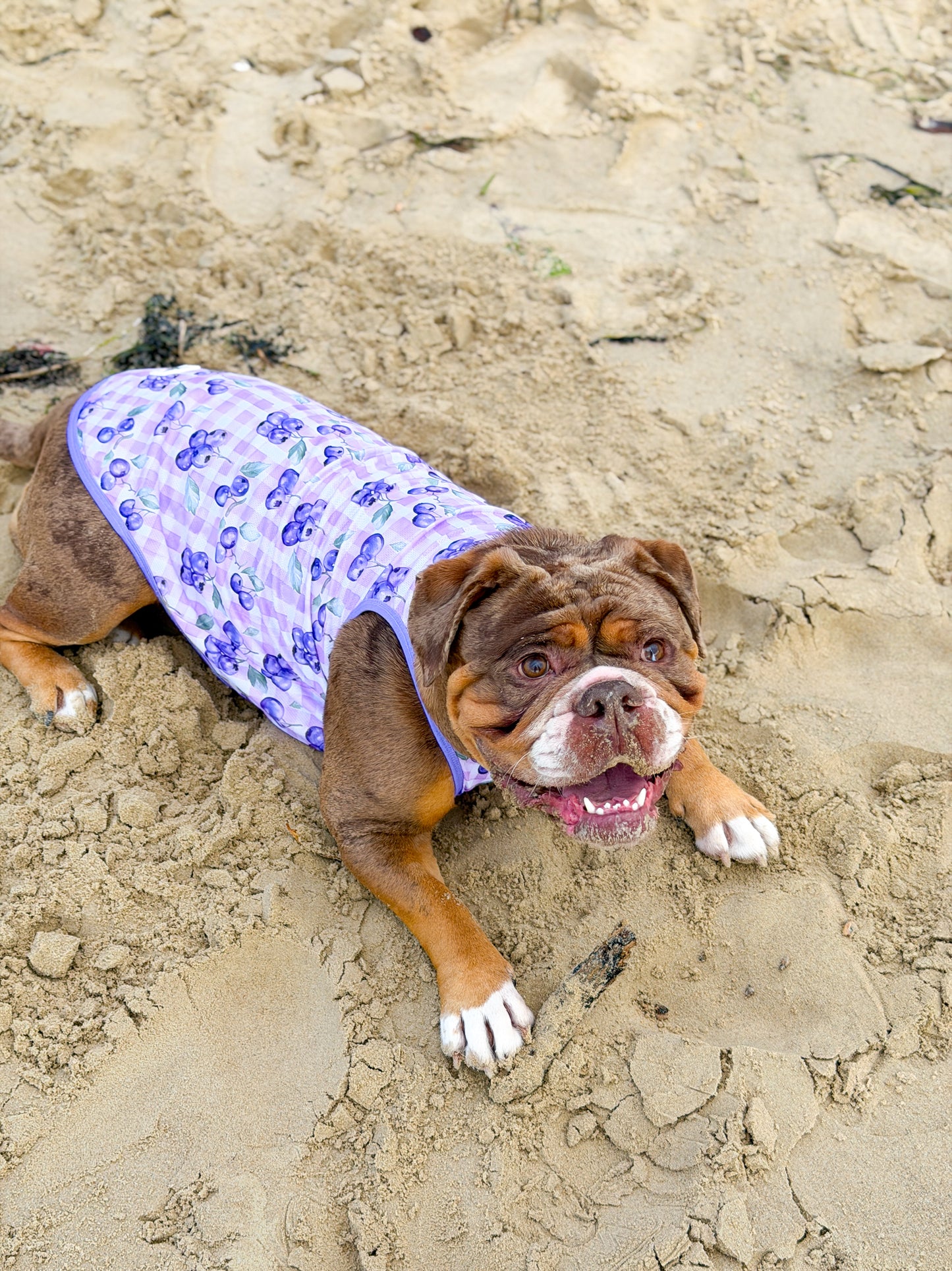 Blueberry Gingham Cooling Vest
