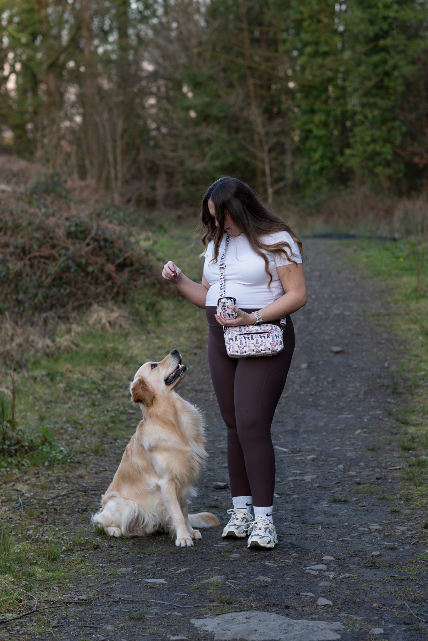 The Labrador/Retriever Dog Walking Bag