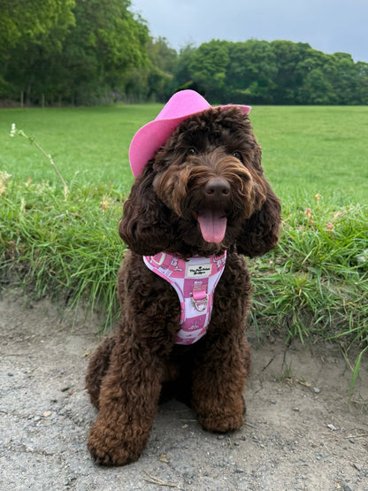 Cowgirl Cutie Adventure Paws Harness