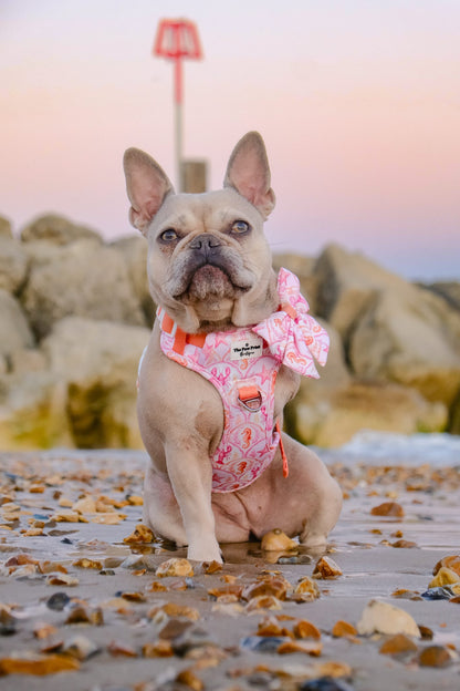 Under the Sea Adventure Paws Harness
