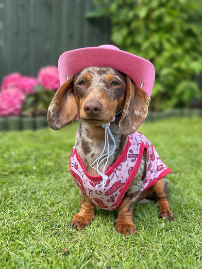 Giddy up Pup Cooling Vest