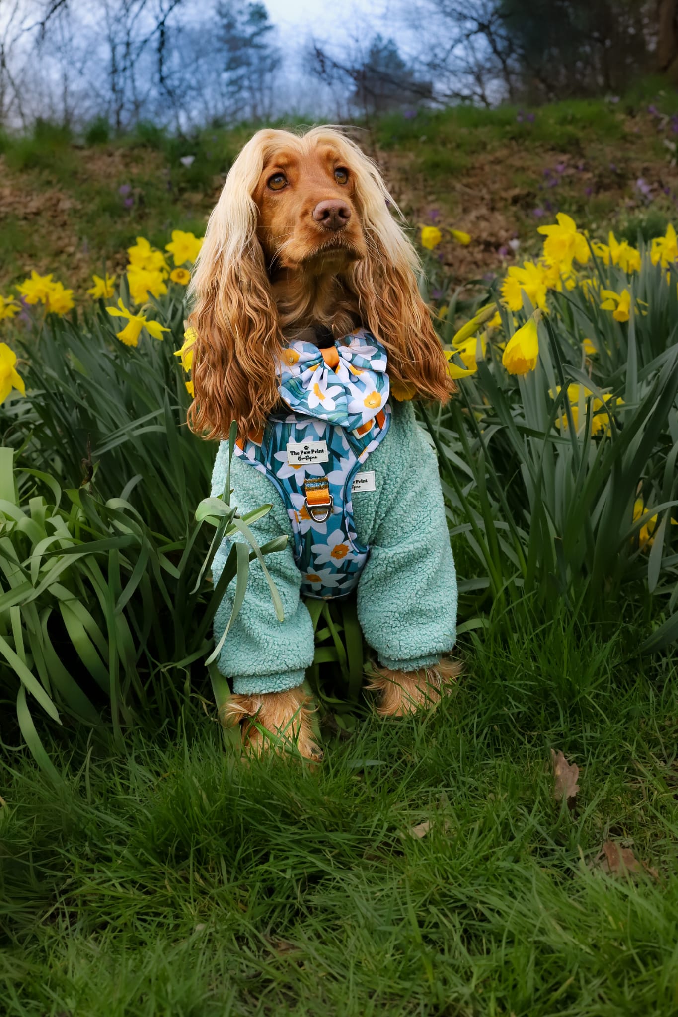 Daffodil Daze Bow Tie