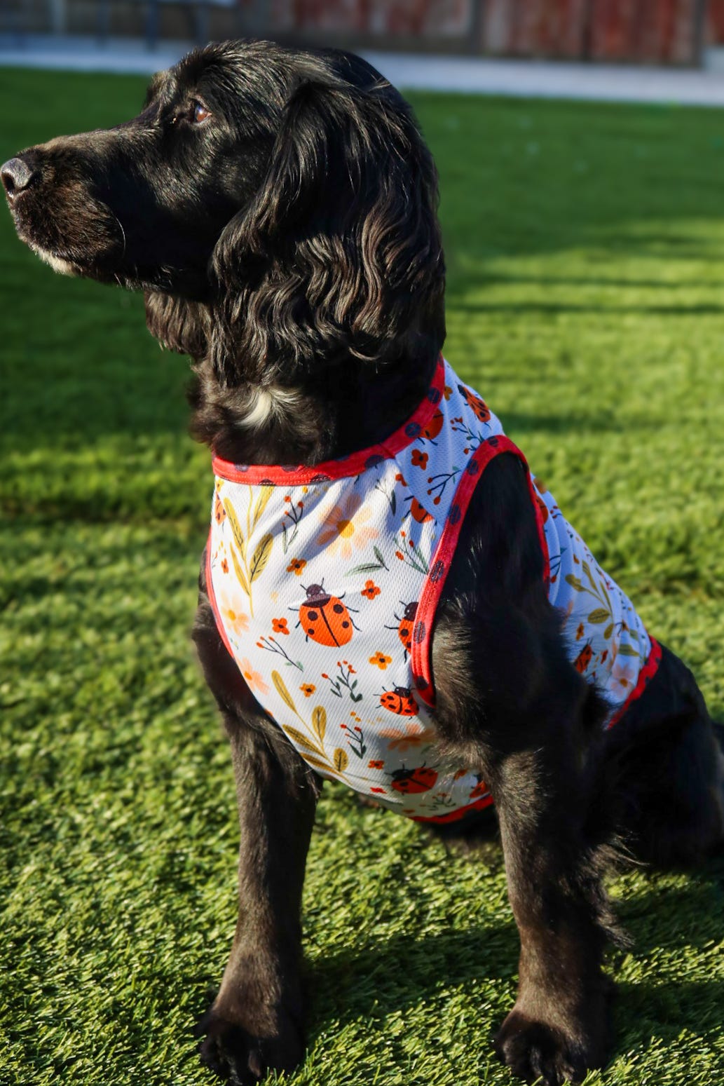 Ladybird Lane Cooling Vest