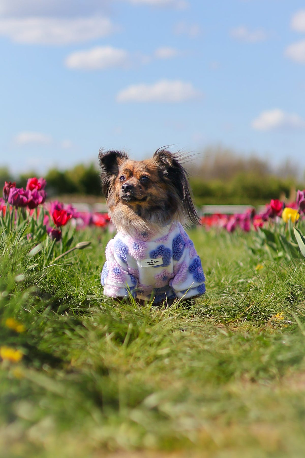 The Lavender Lilac Floral Fleece