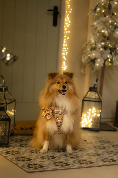 Gingerbread Grove Bow Tie