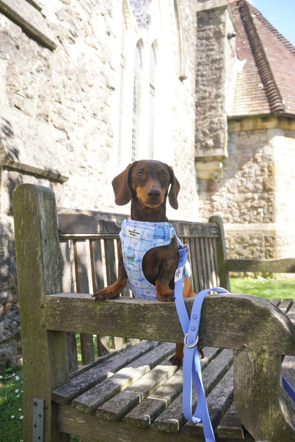 Waterproof Lead - Cornflower Blue