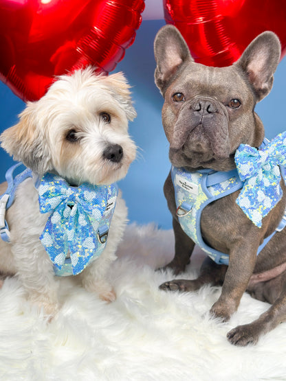 The Sassy in Sequins - Baby Blue Adventure Paws Harness