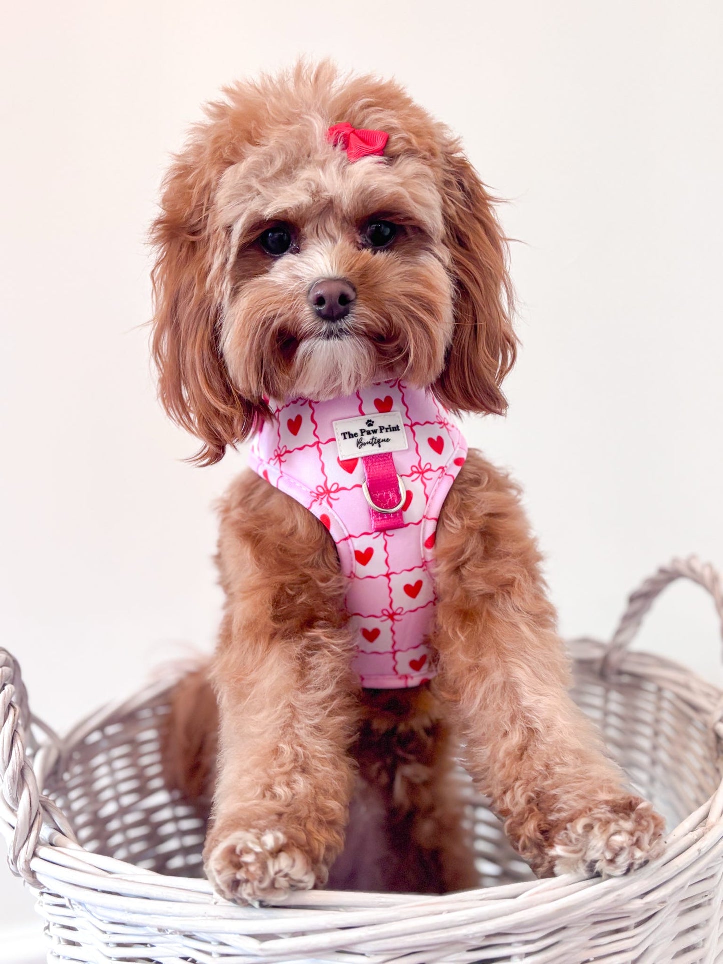 Pink Chequered Hearts Adjustable Harness