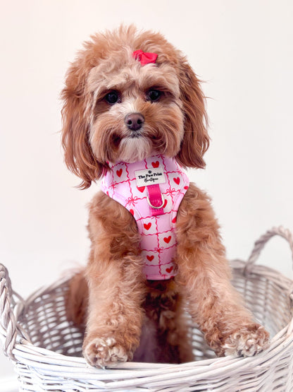 Pink Chequered Hearts Adjustable Harness
