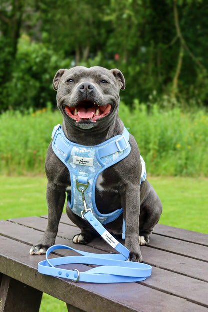 Waterproof Lead - Cornflower Blue