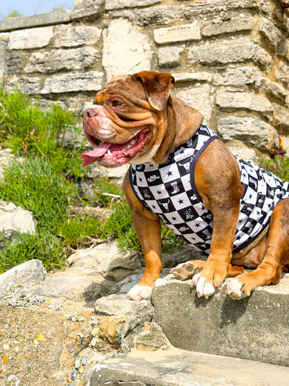 Wild West Cooling Vest