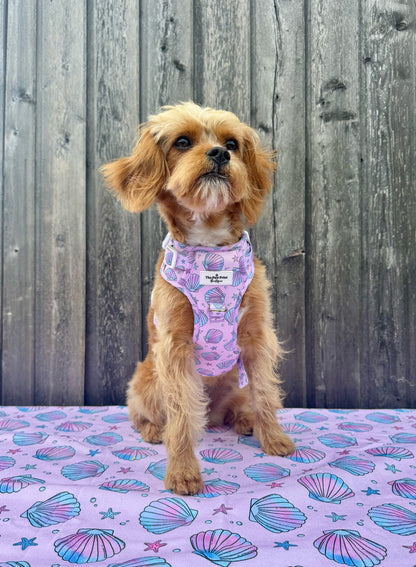 Mermaids Tails Adventure Paws Harness