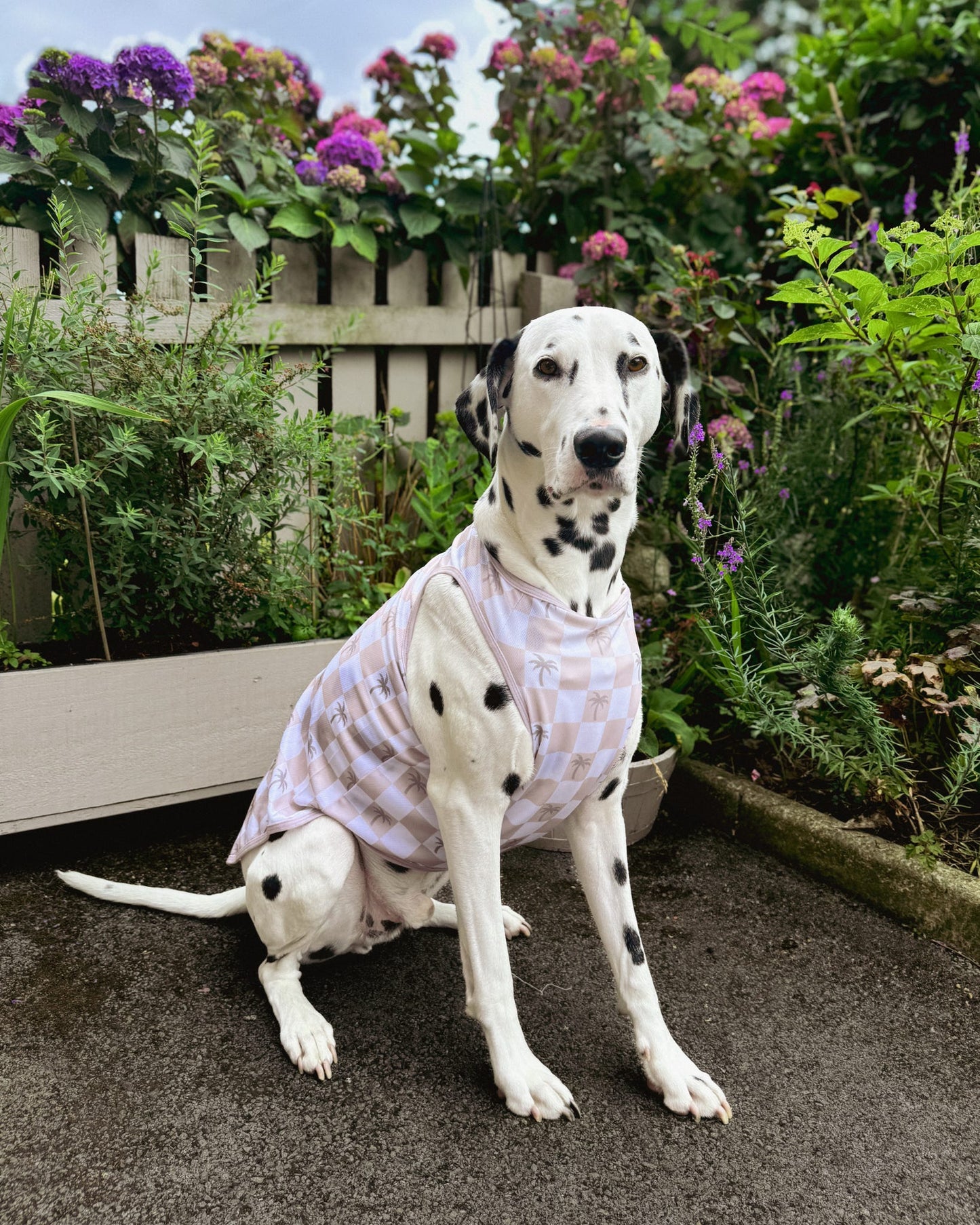 Palm Springs Cooling Vest