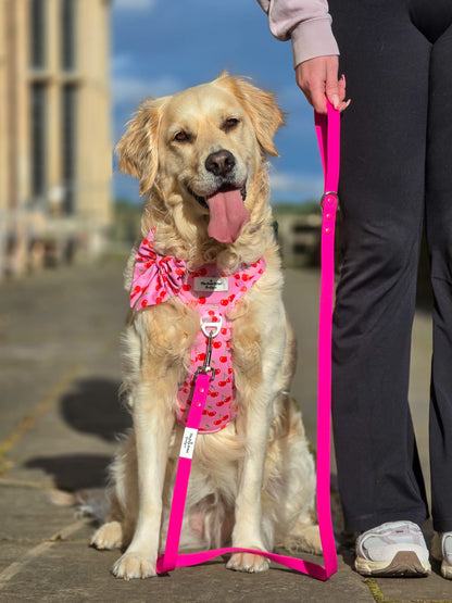Waterproof Lead - Hot Pink