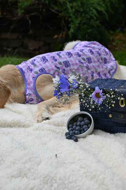 Blueberry Gingham Cooling Vest