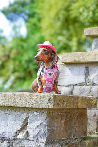 Cowgirl Cutie Adventure Paws Harness