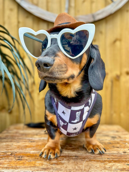 Wild West Cooling Vest