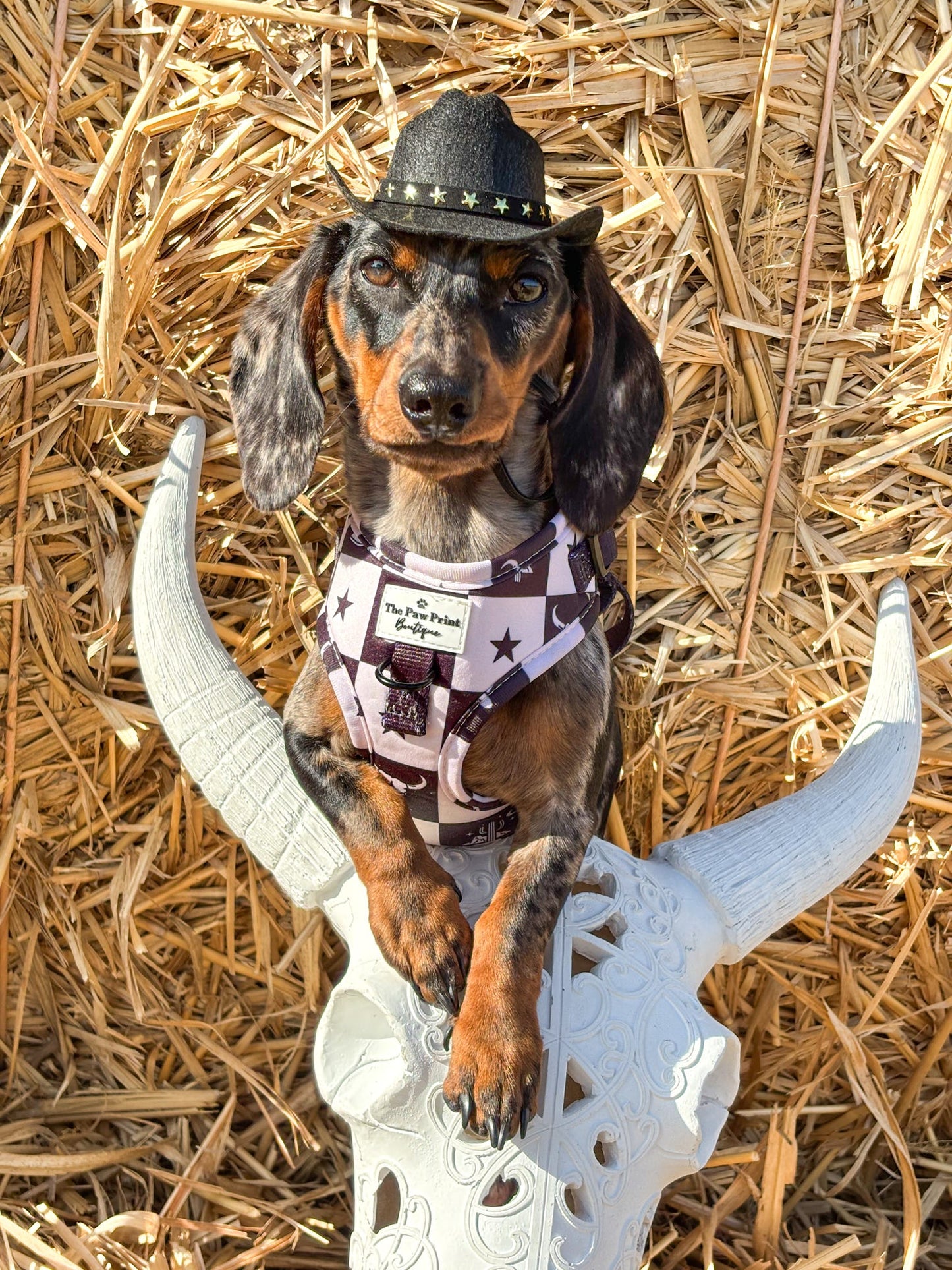 The Wild West Adjustable Harness