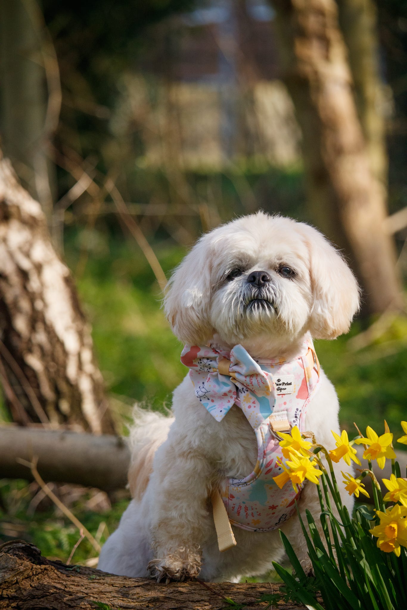 Hop into Bloom Bow Tie