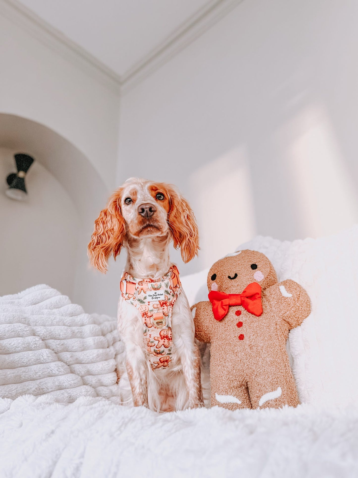 Gingerbread Grove Adventure Paws Harness