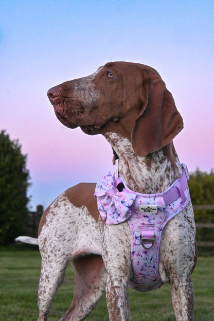 Butterfly Bliss Bow Tie