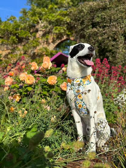 Sunny Sunflowers Adventure Paws Harness