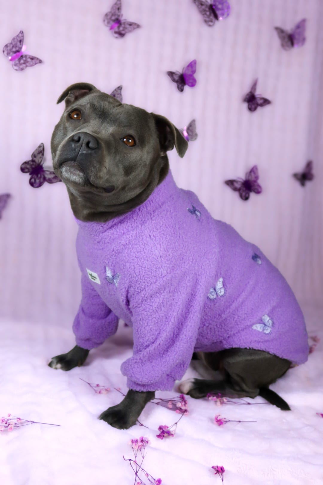 Teddy Fleece - Butterfly Bliss