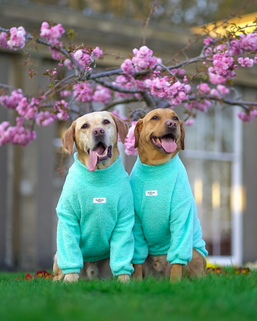 Teddy Fleece - Mint