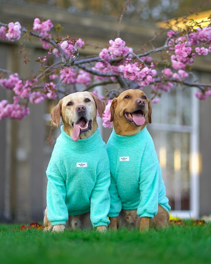 Teddy Fleece - Mint