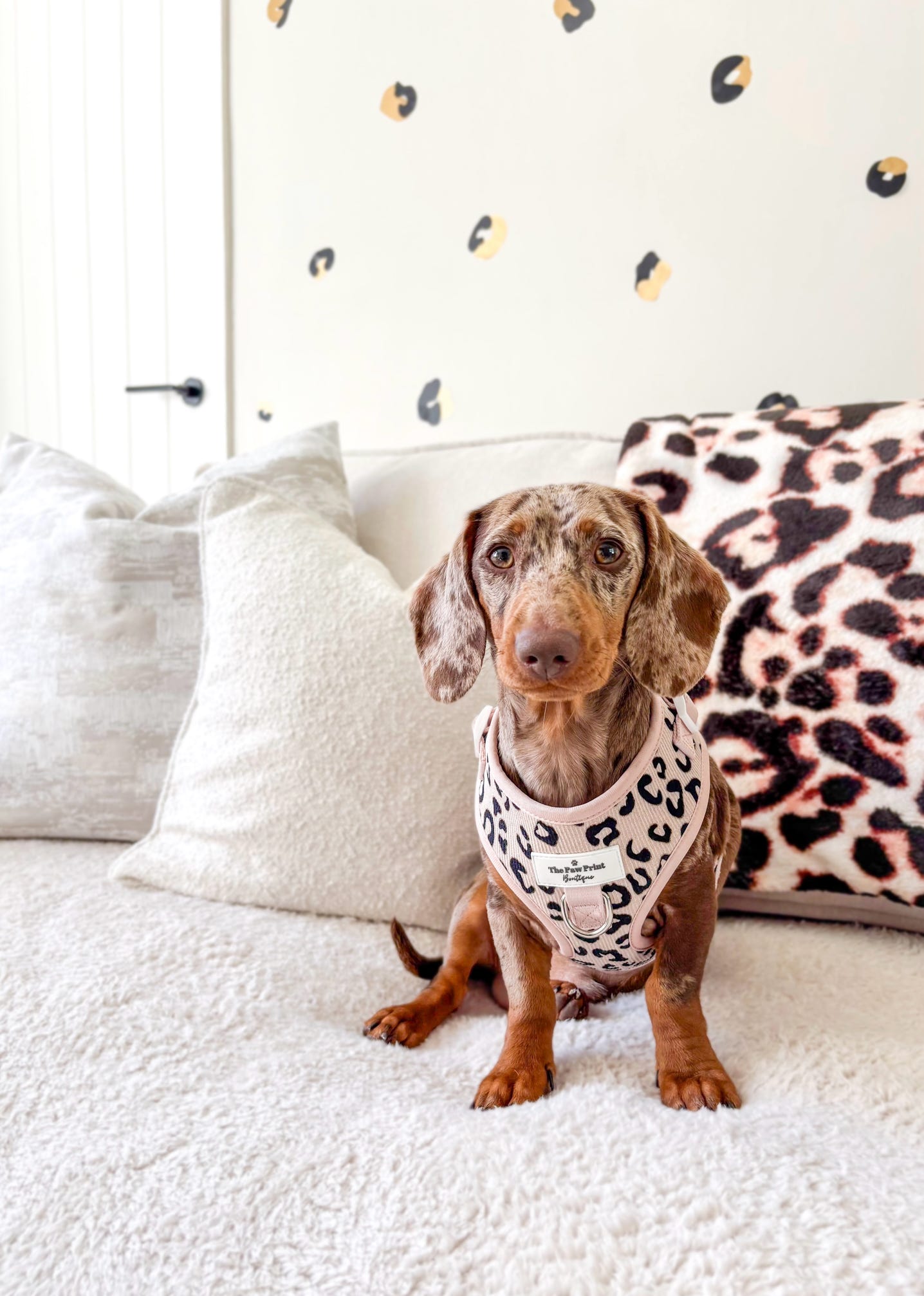 The Luxe Leopard (Beige) Adjustable Harness