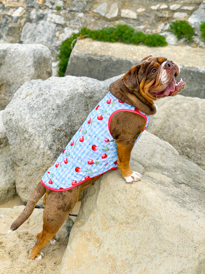 Cherry Gingham Cooling Vest