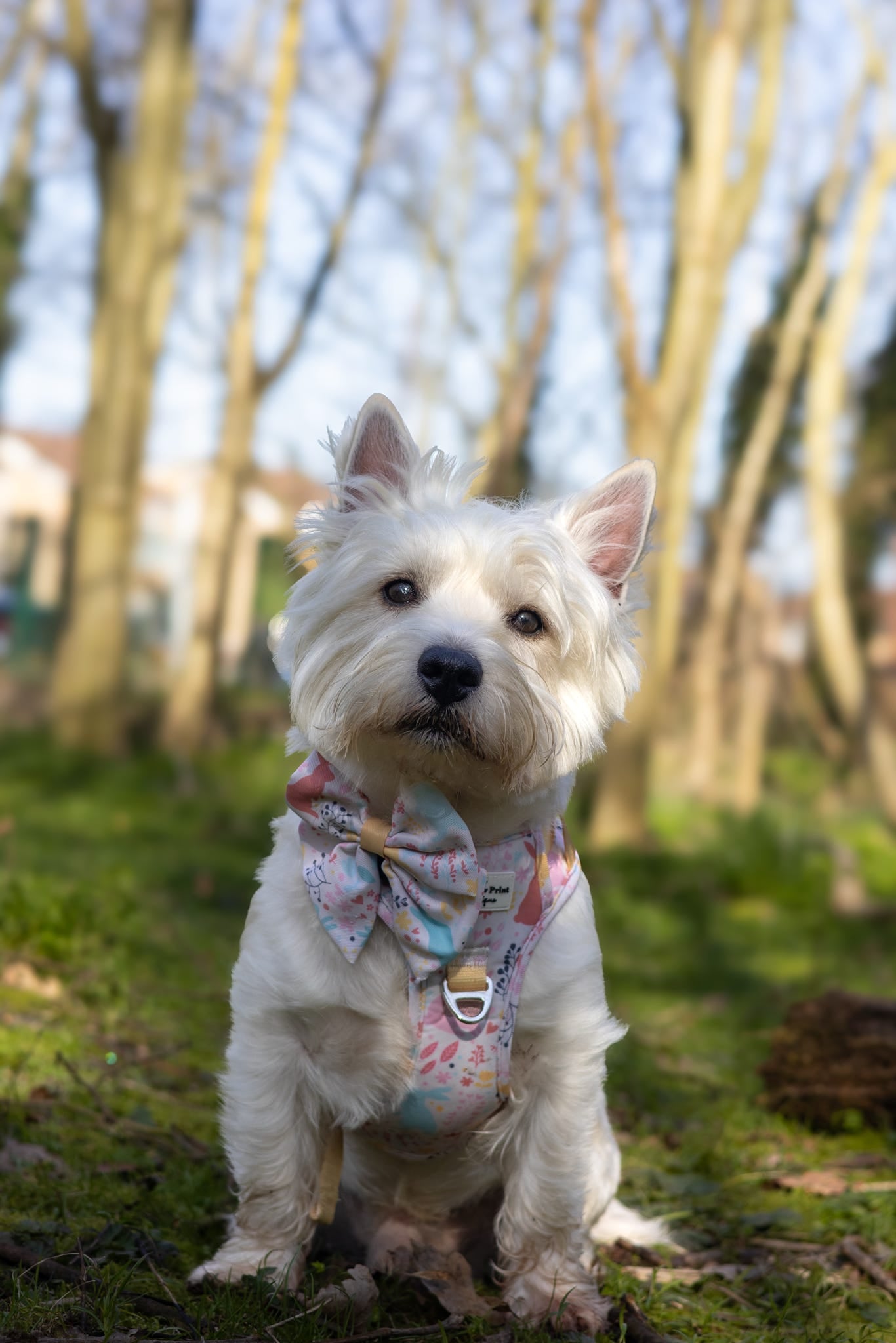 Hop into Bloom Bow Tie