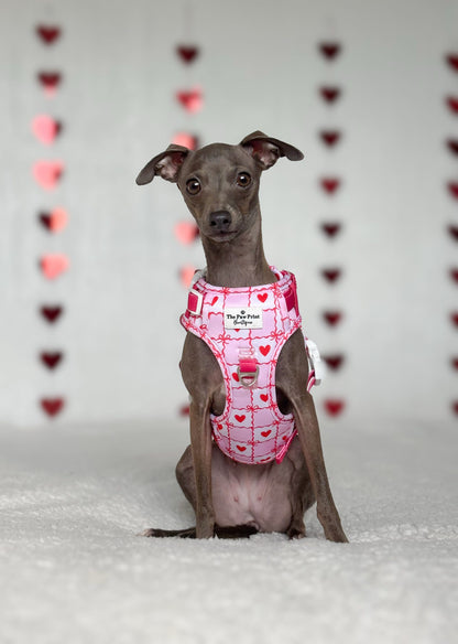 Pink Chequered Hearts Adventure Paws Harness