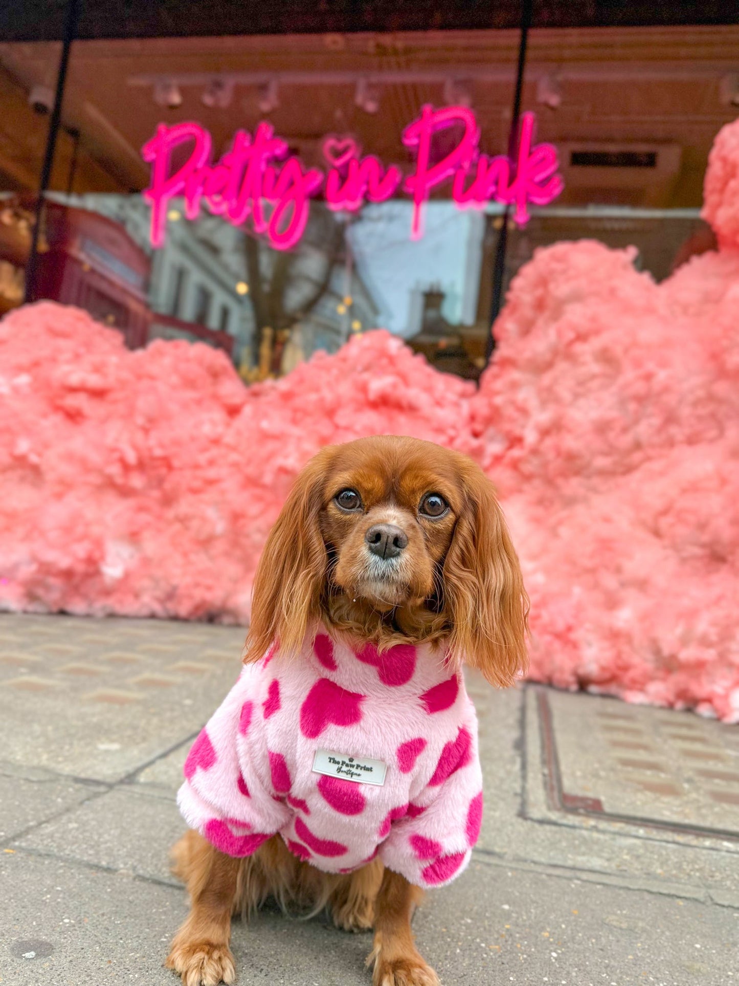 The Love Hearts Fluffy & Fabulous Fleece - Pink