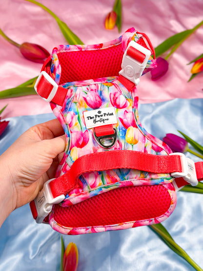 The Tulip Field Adventure Paws Harness