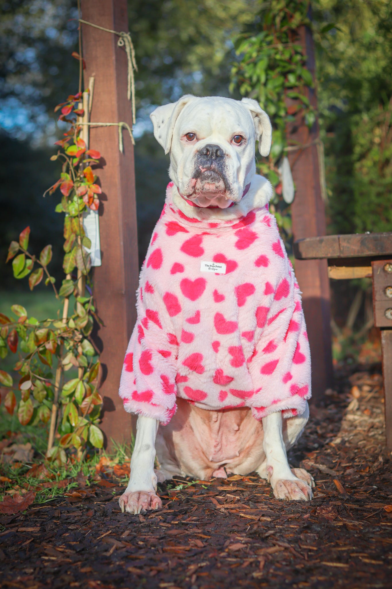 The Love Hearts Fluffy & Fabulous Fleece - Pink