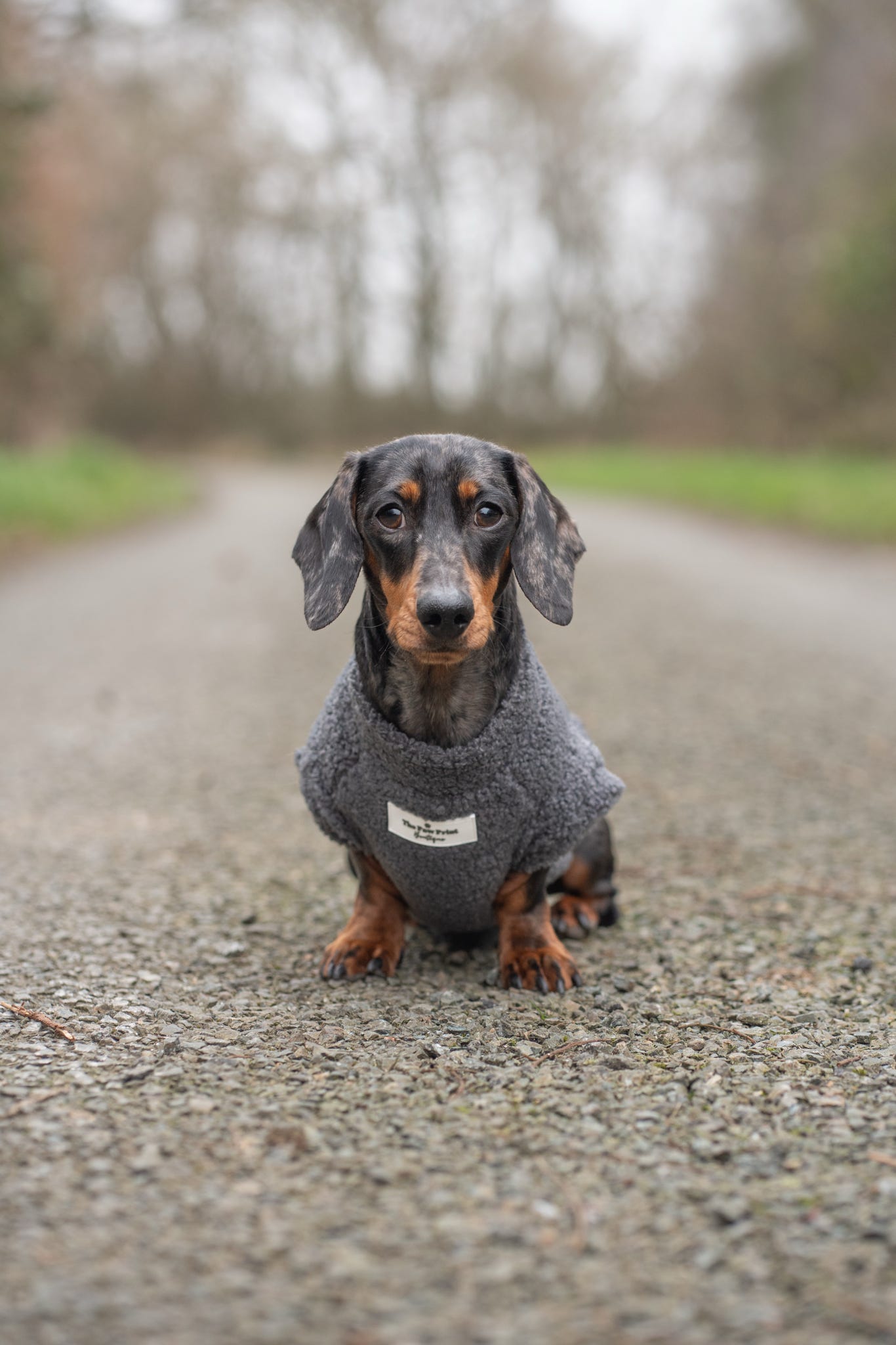 Teddy Fleece - Charcoal Grey