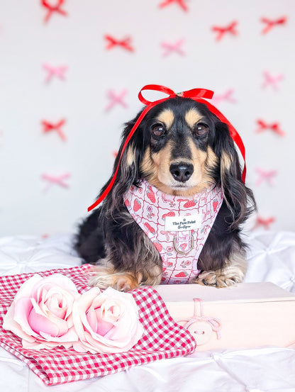 The Bows & Berries Adjustable Harness