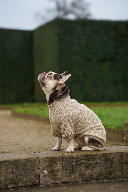 The Gold & Glittery Leopard Print Teddy Fleece