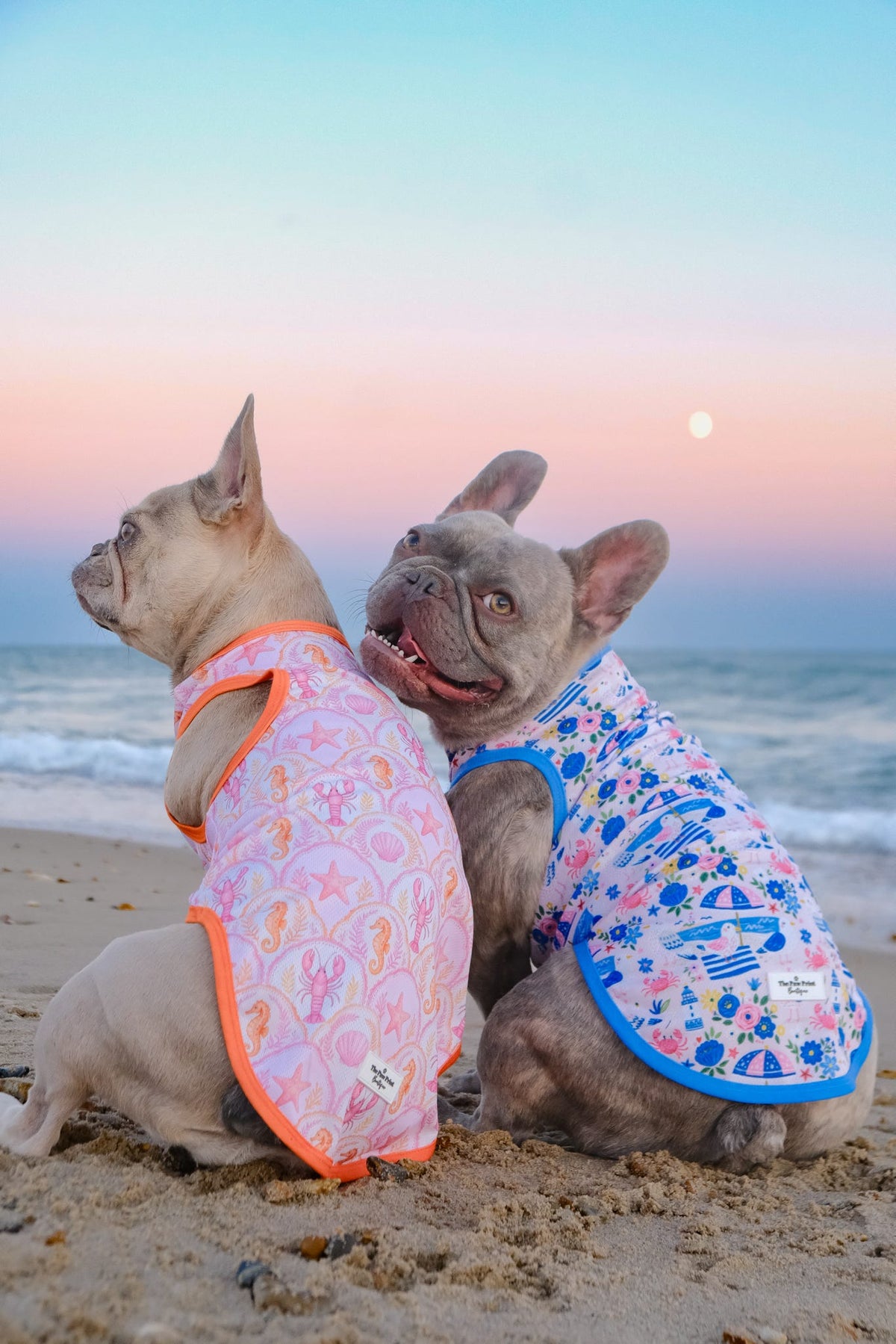 Santorini Seagulls Cooling Vest