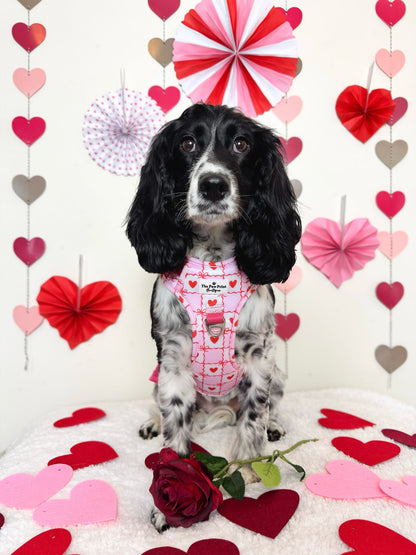 Pink Chequered Hearts Adventure Paws Harness