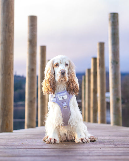 The Lavish Lilac Adventure Paws Harness