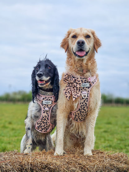 The Luxe Leopard (Beige) Adventure Paws Harness