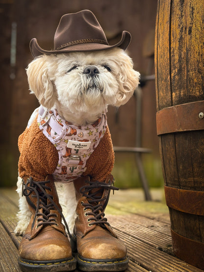 Howdy Pawtner Adventure Paws Harness