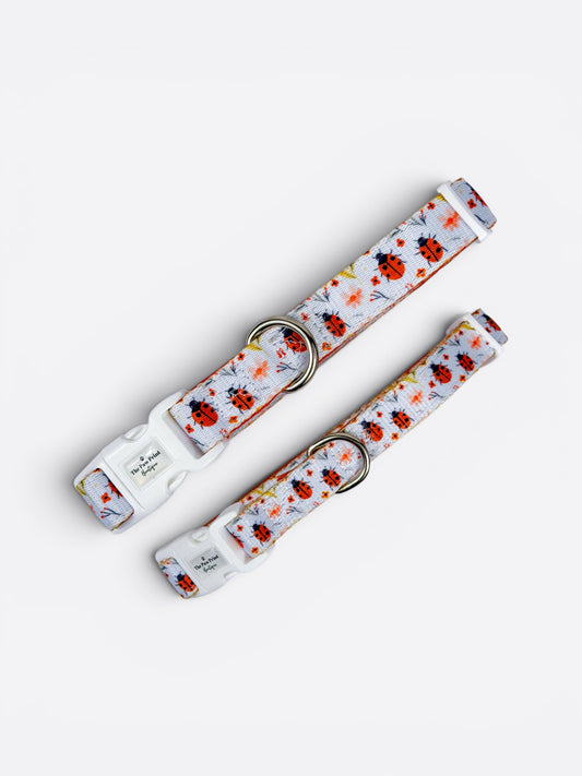 Ladybird Lane Collar