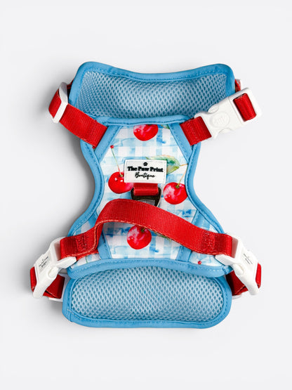 Cherry Gingham Adventure Paws Harness