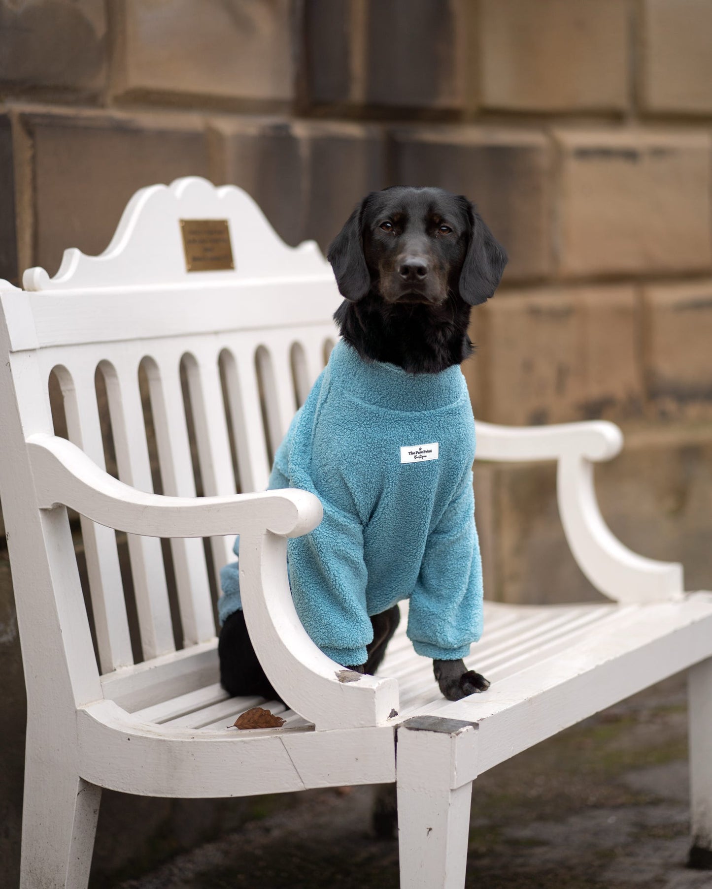 Teddy Fleece - Sea Blue