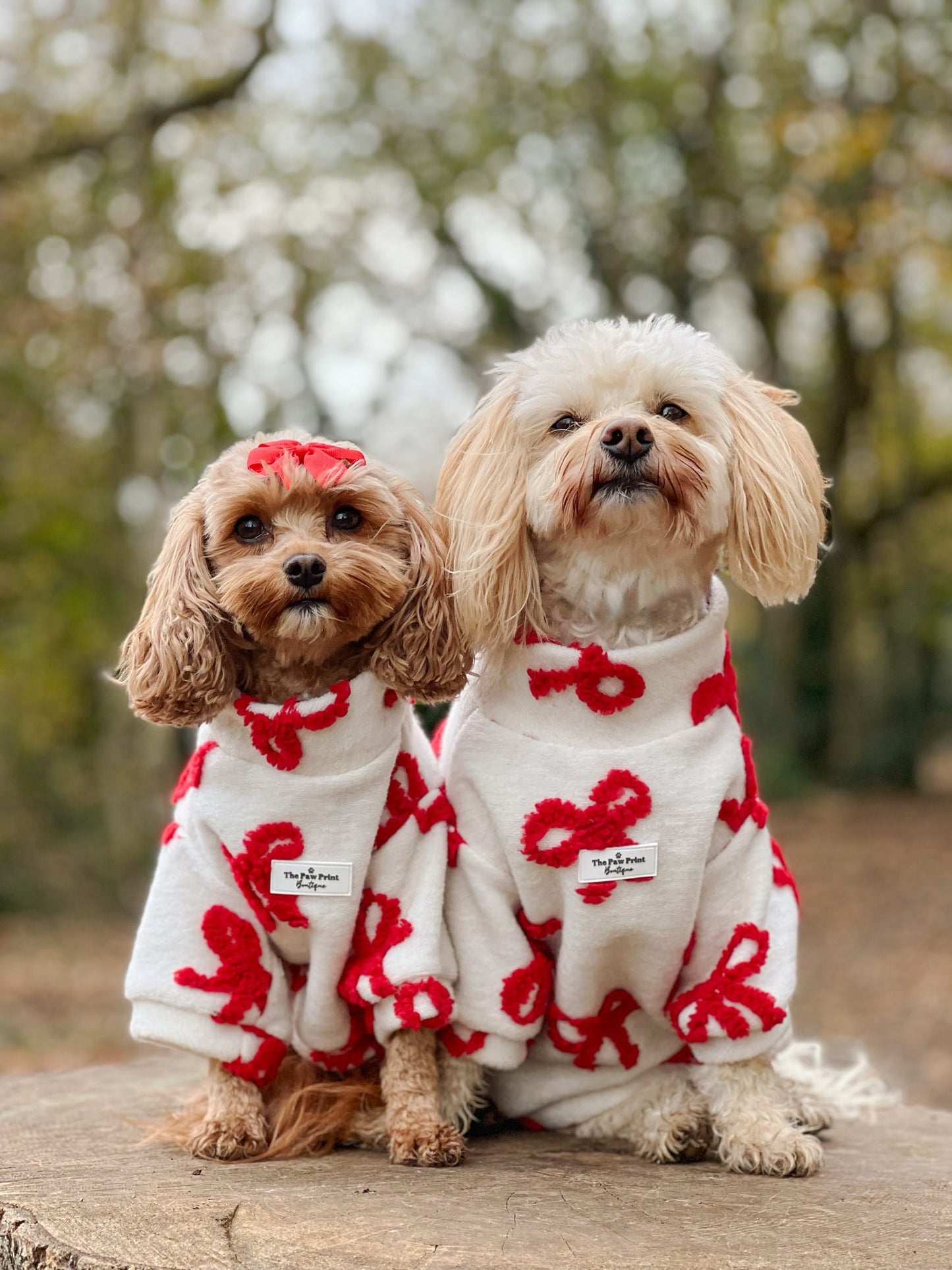 The Red Bow Fleece