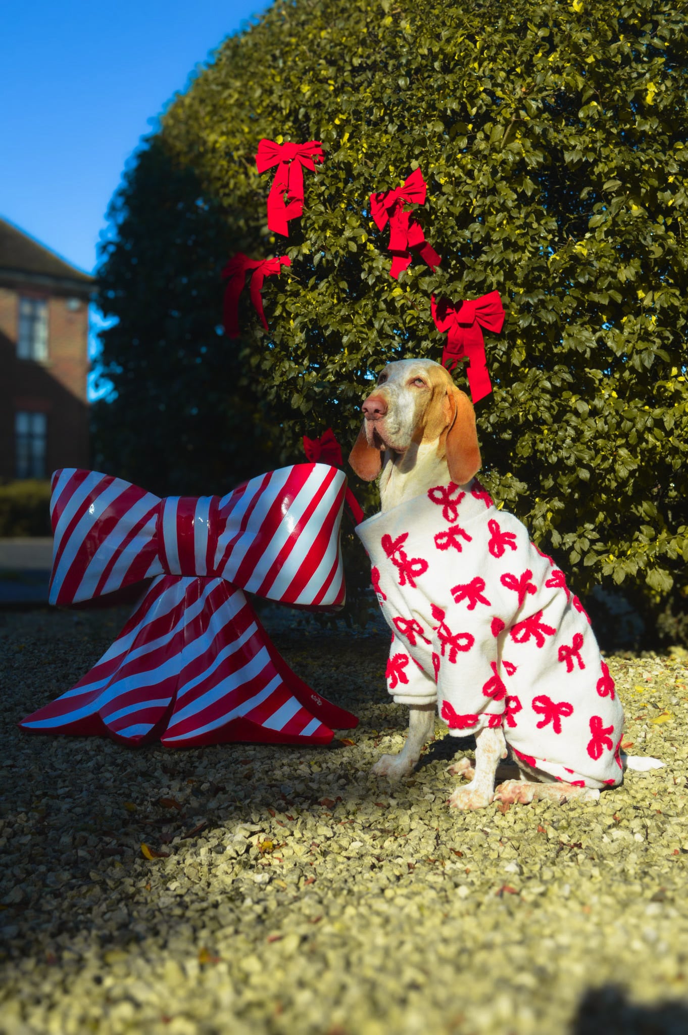 The Red Bow Fleece